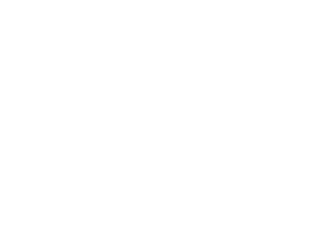 Vivify